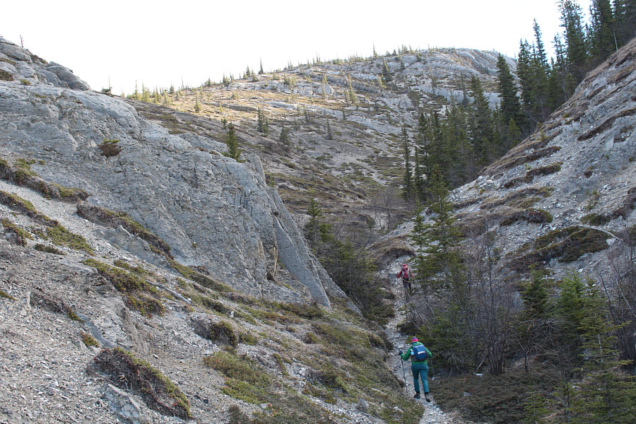 Where all the gnomes and hobbits live...