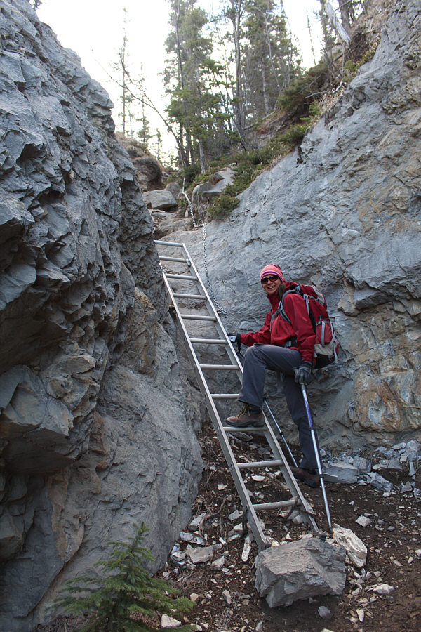 So that's where my ladder went after I sold it on Kijiji!