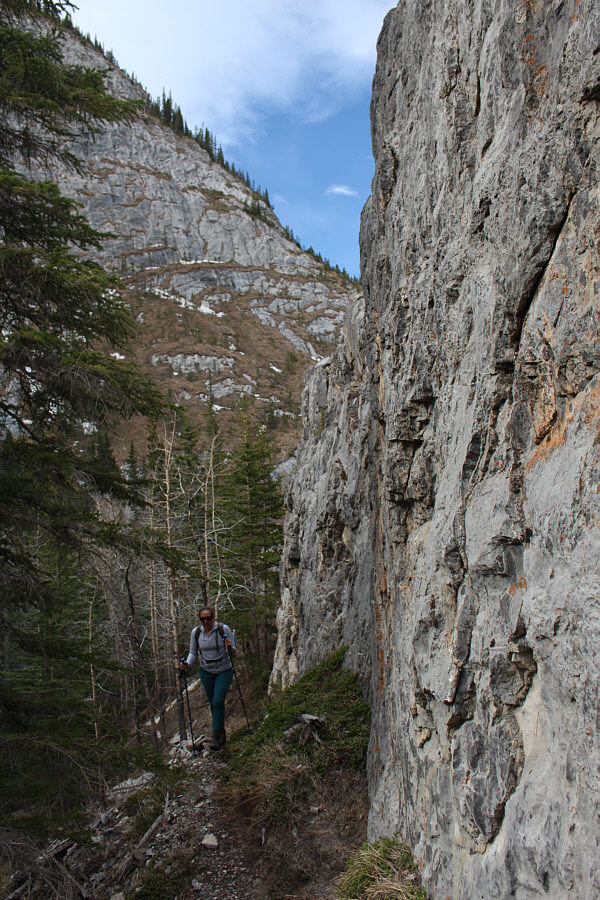 Should we be wearing helmets here?