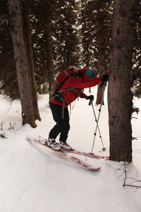 Those darn trees always get in the way!
