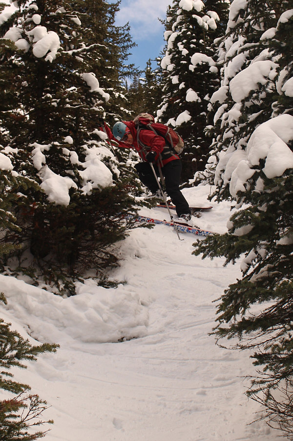 How did we get here??