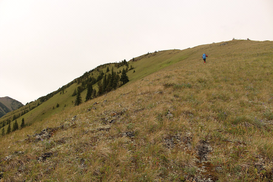 This girl has a lot of energy!