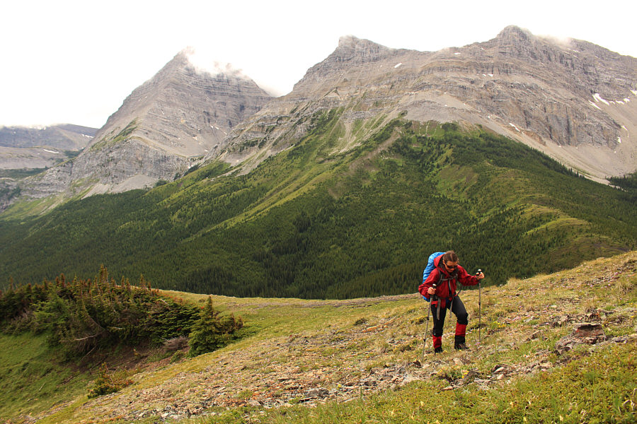 Zosia is careful not to step on any flowers!