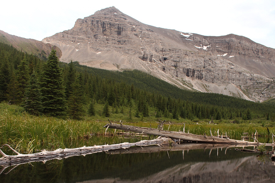 It's bedtime, and I'm pretty beat...