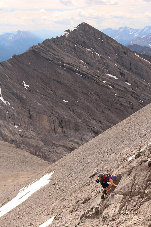 One of my favourite shots of the day.