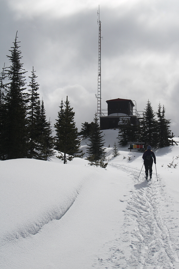 A familiar sight for me!