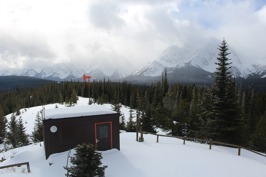 The thermometer is reading about 8 degrees Celsius!