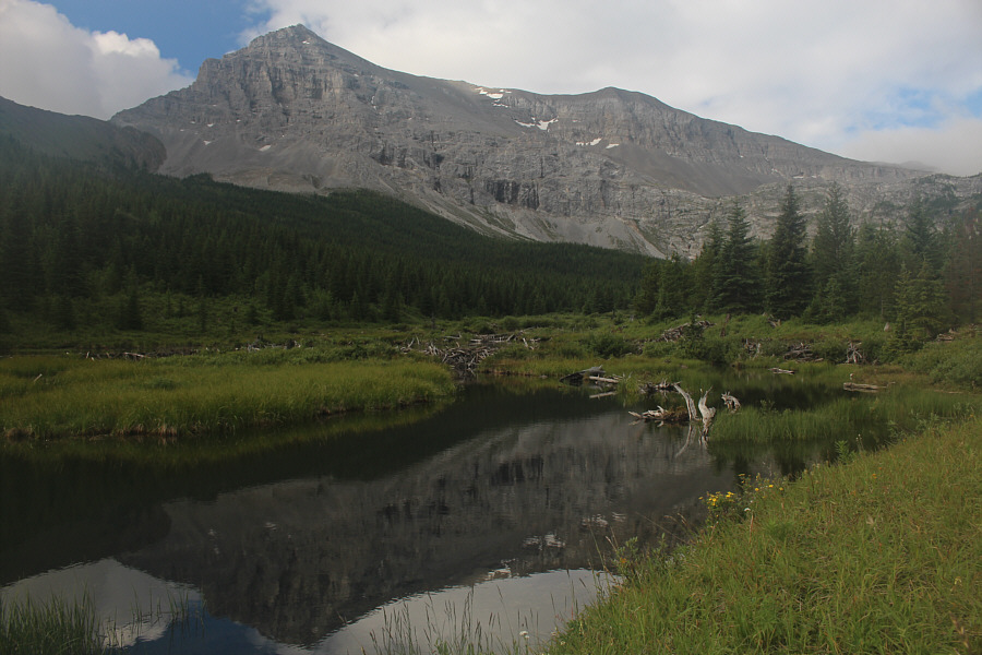 I didn't see a single busy beaver!
