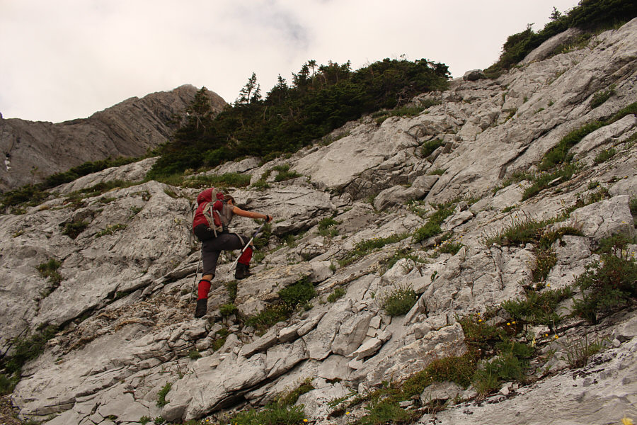 This was actually kinda fun!