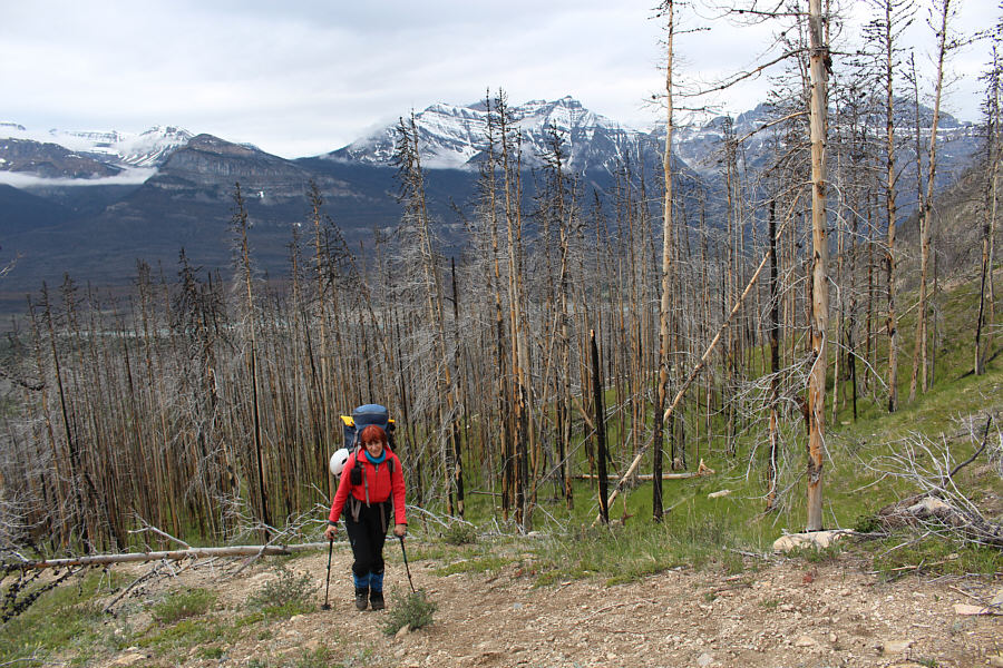 Of course, Marta is too busy studying to notice!