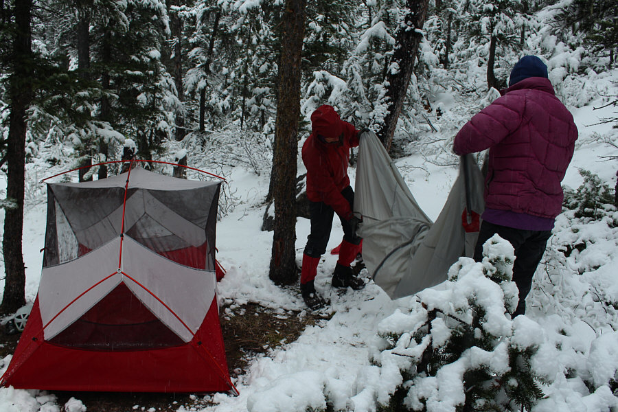 Are we having fun yet?