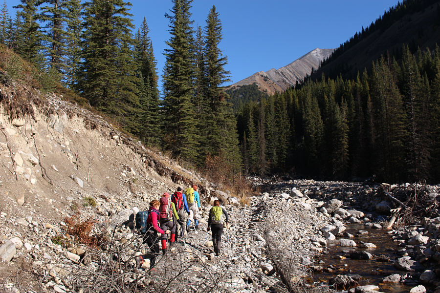 Trail or no trail, this part of the hike is rather boring either way!