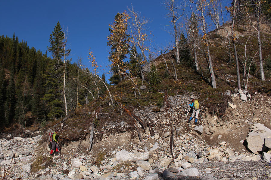 They must have been eager to get out of the creek bed!