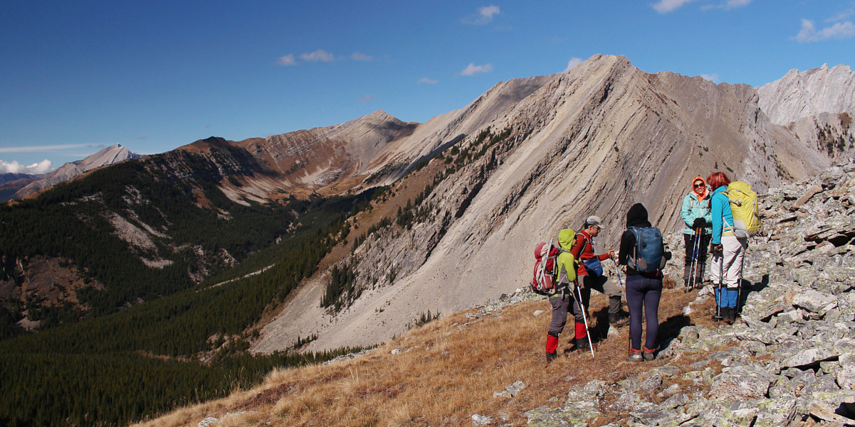 Polish and Iranian hikers coming together!
