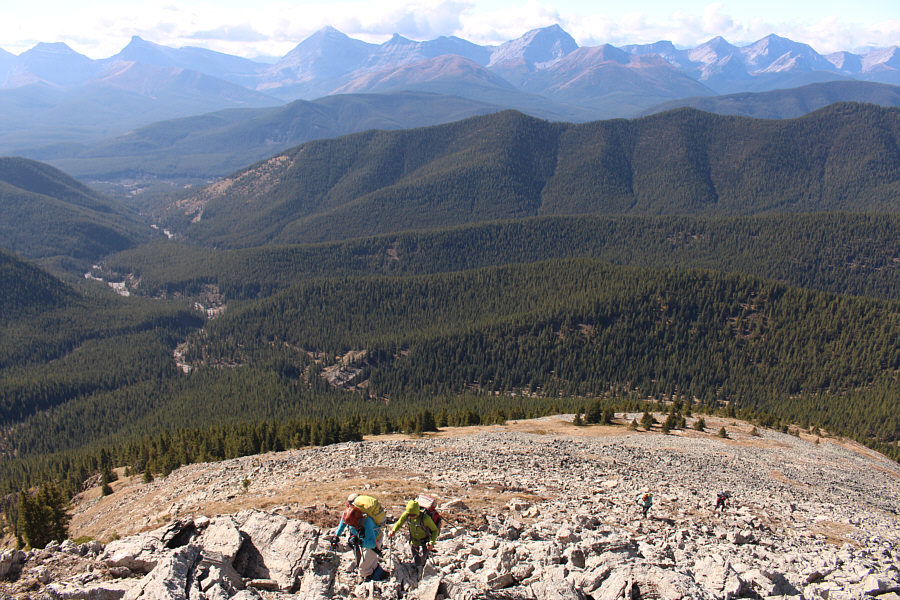 Not looking forward to that long walk out Lineham Creek...