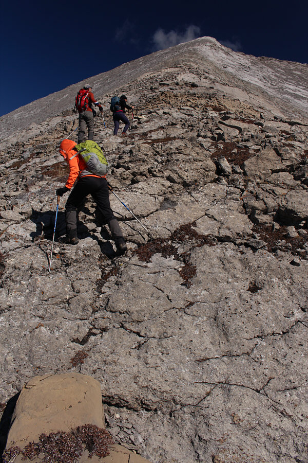 I wonder what Asieh really thinks about scrambling...