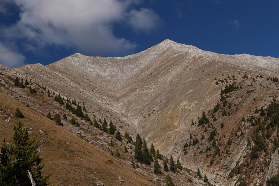 Not much else to look at after this...