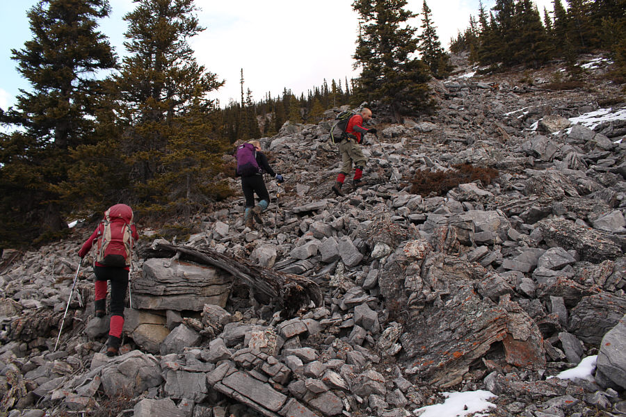 Did we lose the trail already??