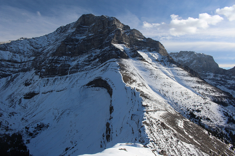 Anybody wanna climb this with me?