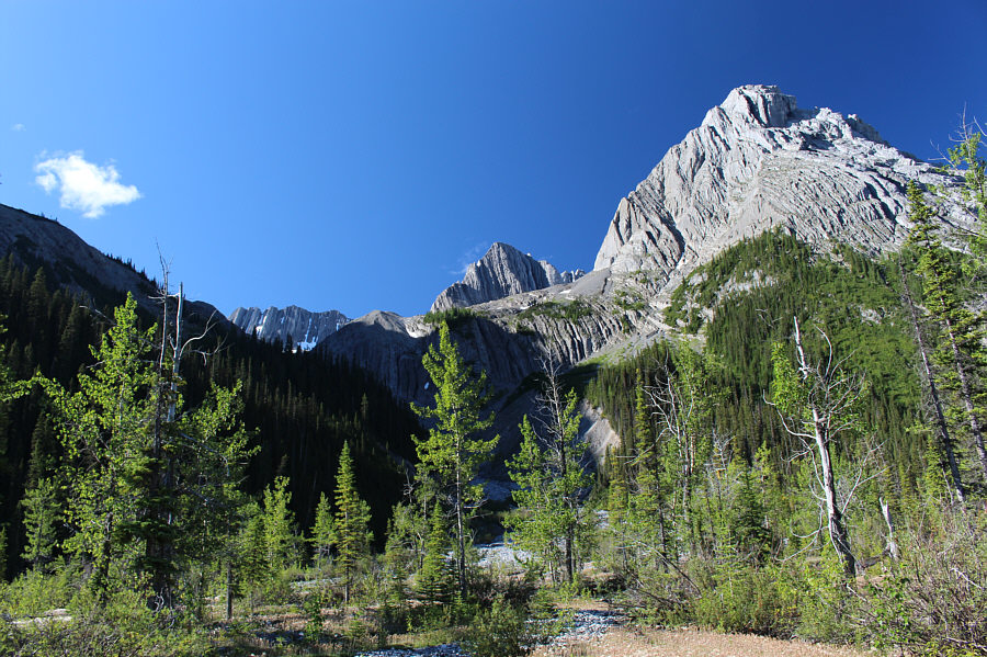 No need to bushwhack for this scramble. Yay!