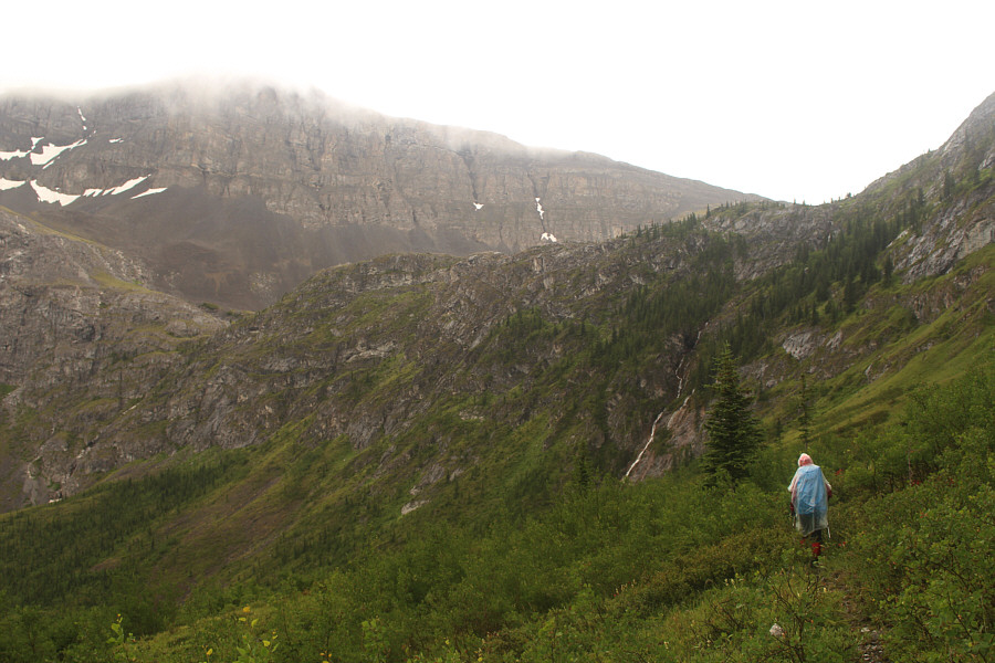 Not feeling motivated at this point...