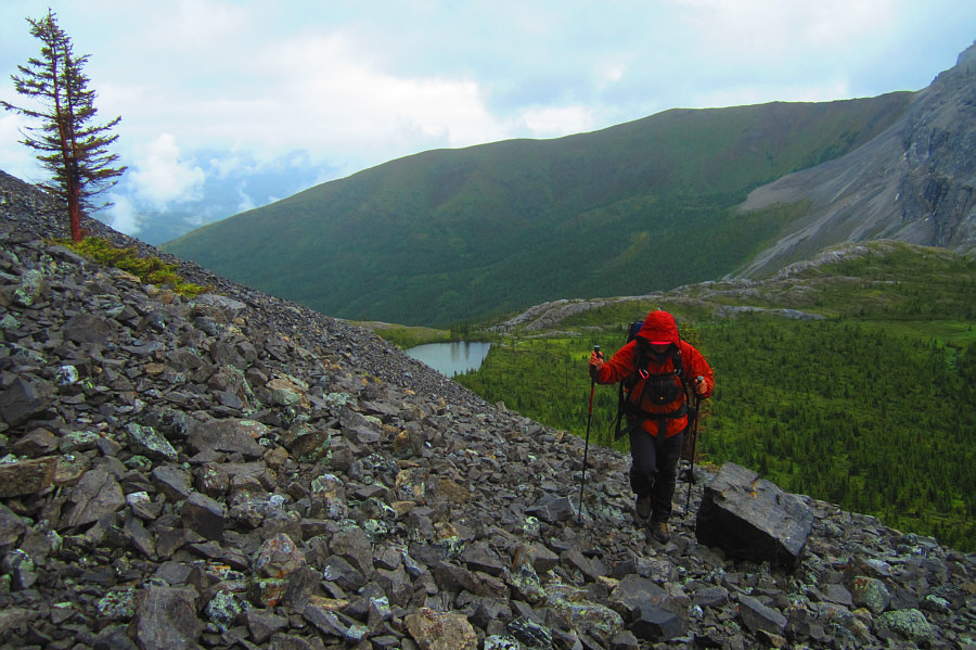 Who's idea was this again??