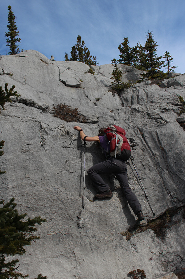 Now we're really having fun!