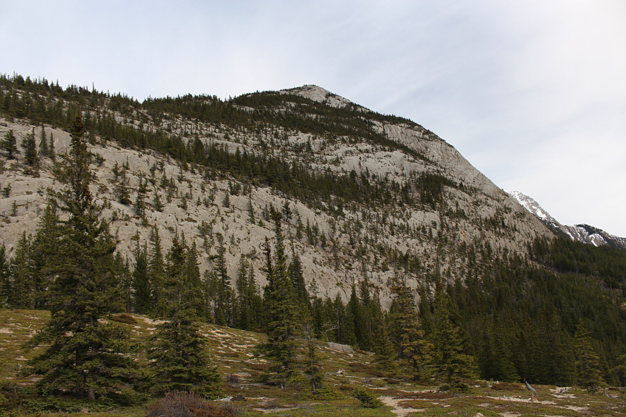 This was our turn-around spot along the Overlander Trail.