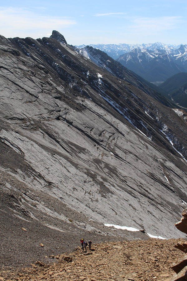 Here come the ladies!