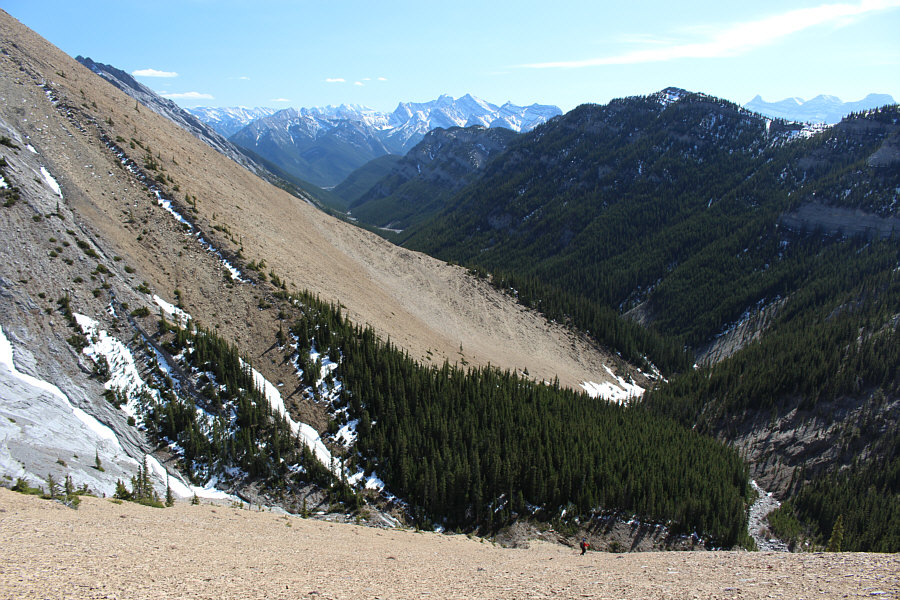 So that's what 11 km looks like...yeesh!