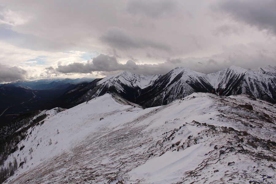 Yep, they're a little hard to see due to the poor light.