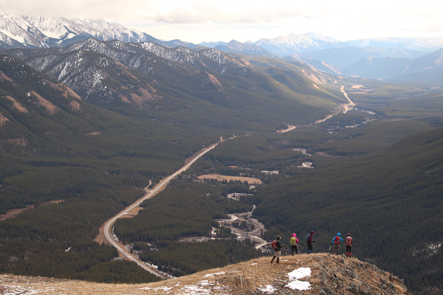 Bushwhacking time! (only for a short bit)