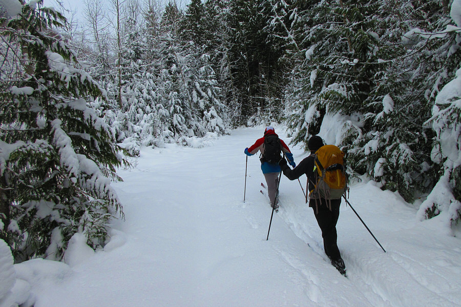 Why the heck am I breaking trail?? I want my money back!!