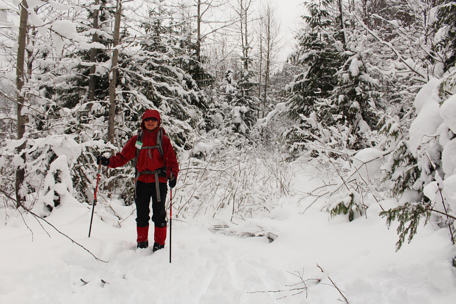 Yep, I draw the line at breaking trail AND bushwhacking!