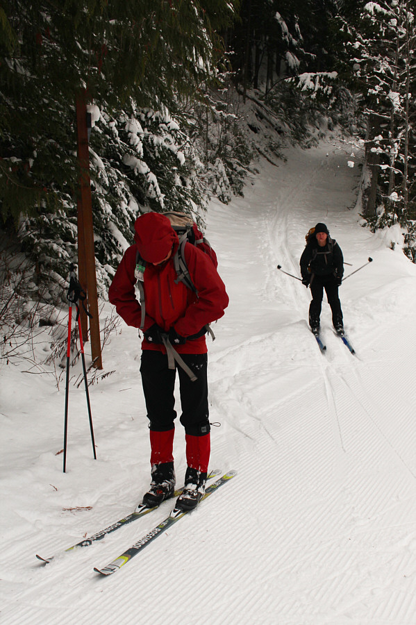 Okay, let's not break trail anymore today!
