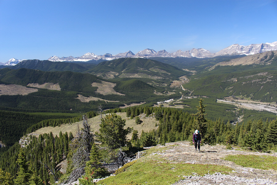 Unbelievable how dry everything is for the beginning of May!