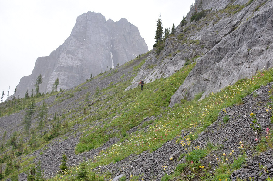 Actually, it might have been easier to stay low and further left in the photo.