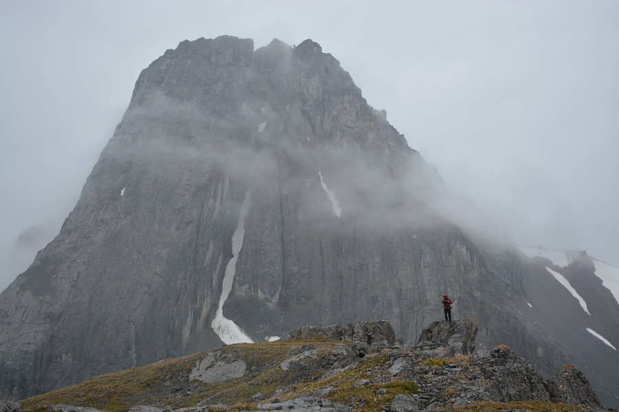 The Kanetrooper is relaxing comfortably at home today...