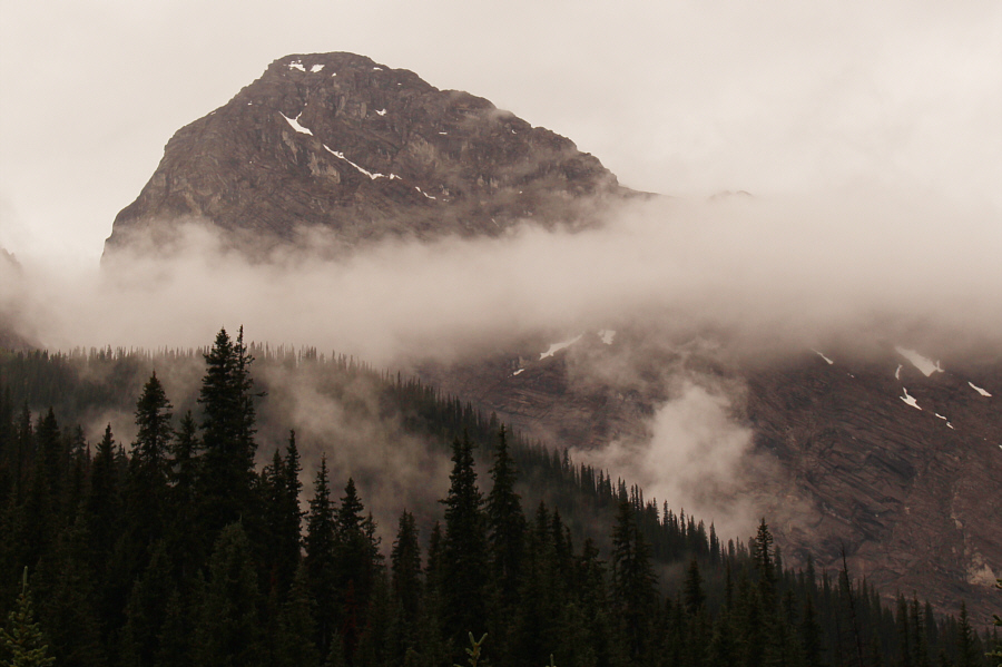 Not a scramble...supposedly!