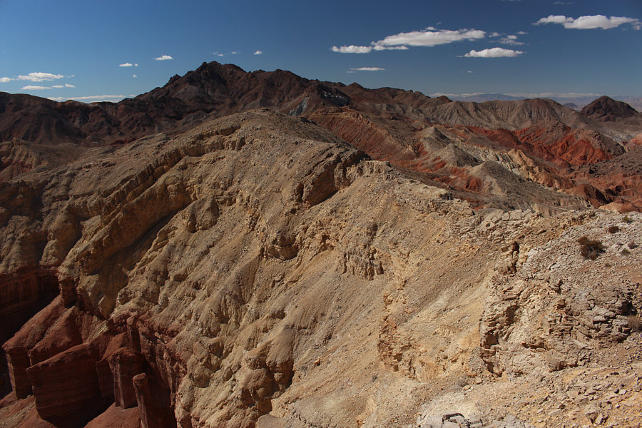 Can you spot Dinah or Bob?