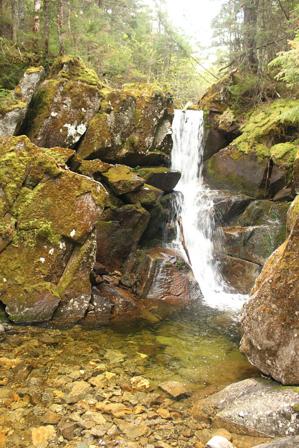 A little serenity before the storm...