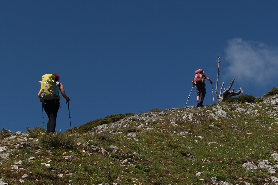 I kinda feel like that tree right now...