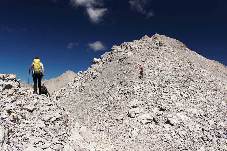 Must be summit-fever!