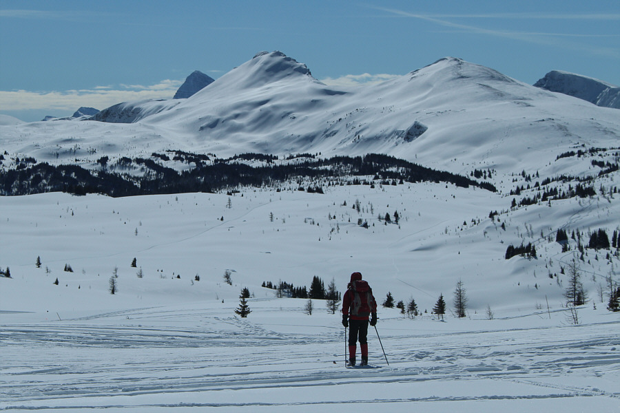 Sunshine Meadows actually lives up to its name on this day!