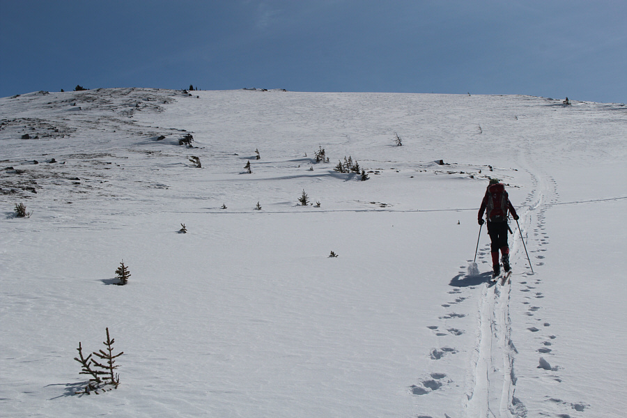 A ski tourer's dream ascent!