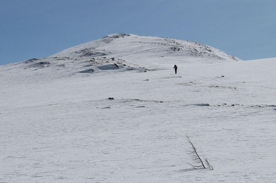 Zosia is a skiing machine! I can't keep up with her!