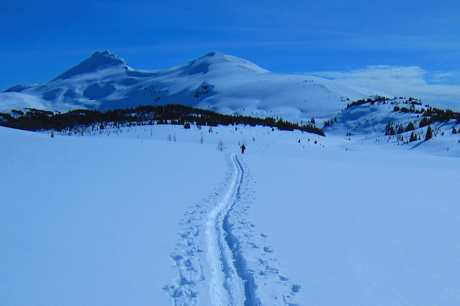 Arghhh! Damned if I put on my skins and damned if I don't!!