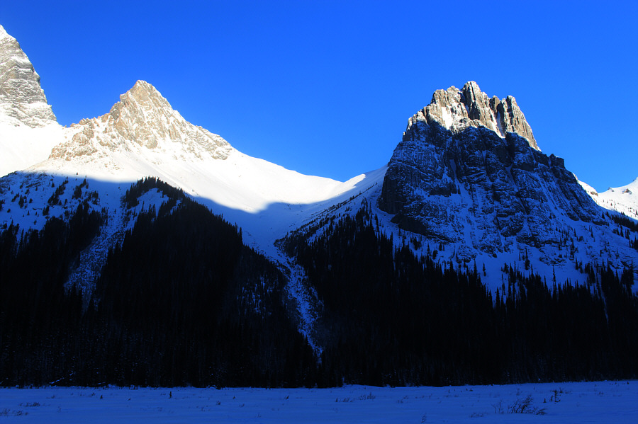 That snow covers up a lot of unpleasant terrain on the flats...