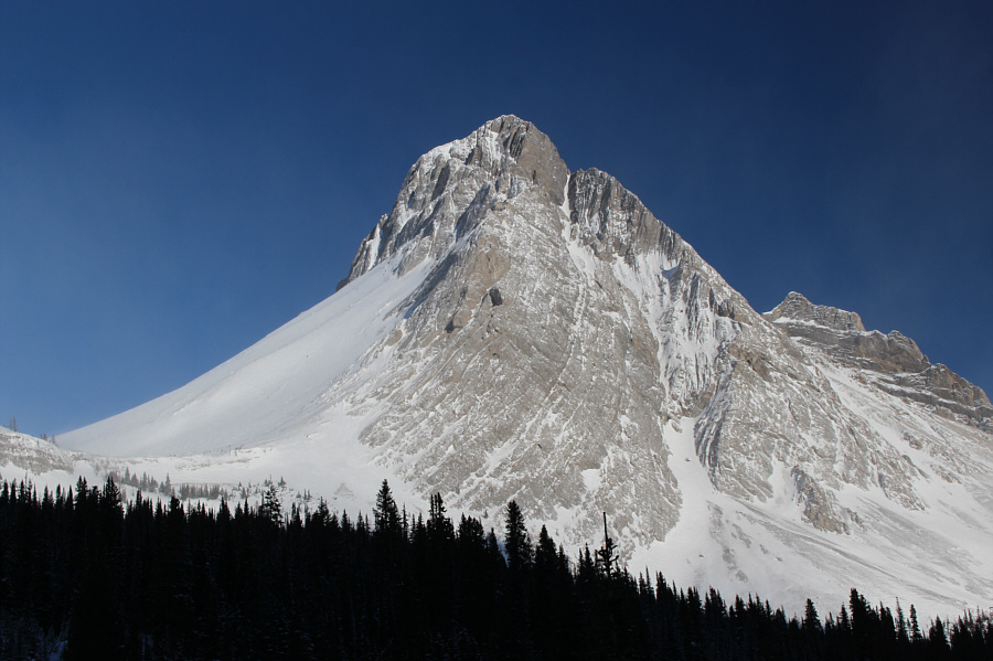 Looks pretty technical...