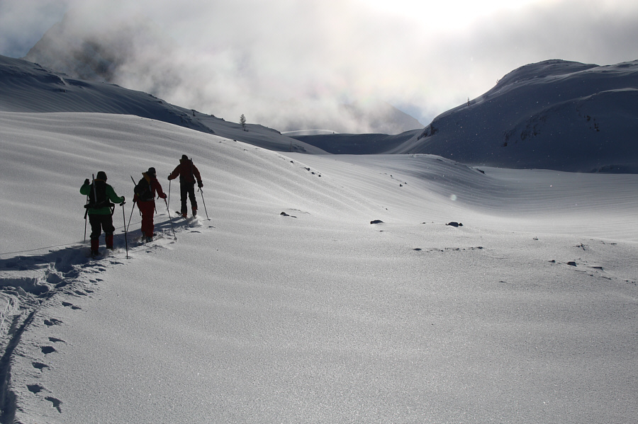 Almost looks like a black & white photo!